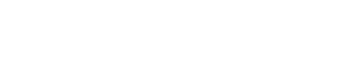 Cybex-1